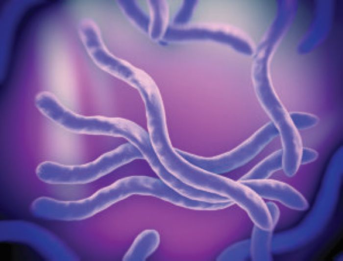 Lila Bakterien auf violettem Hintergrund, wichtig für Reinigungskraft in der Mikrobiologie.