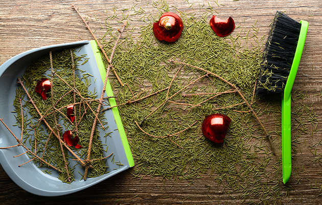 Kehrschaufel und Besen mit Tannennadeln und roten Kugeln, ideal für Reinigung.