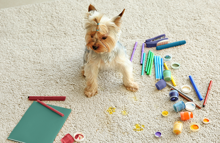 740X480 De Seo Blog Paint Splashes 2 2407