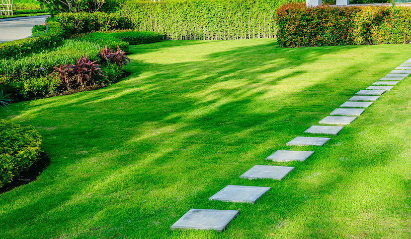 World Toilet Day | Water Saving Tip: Don't Mow The Lawn So Often