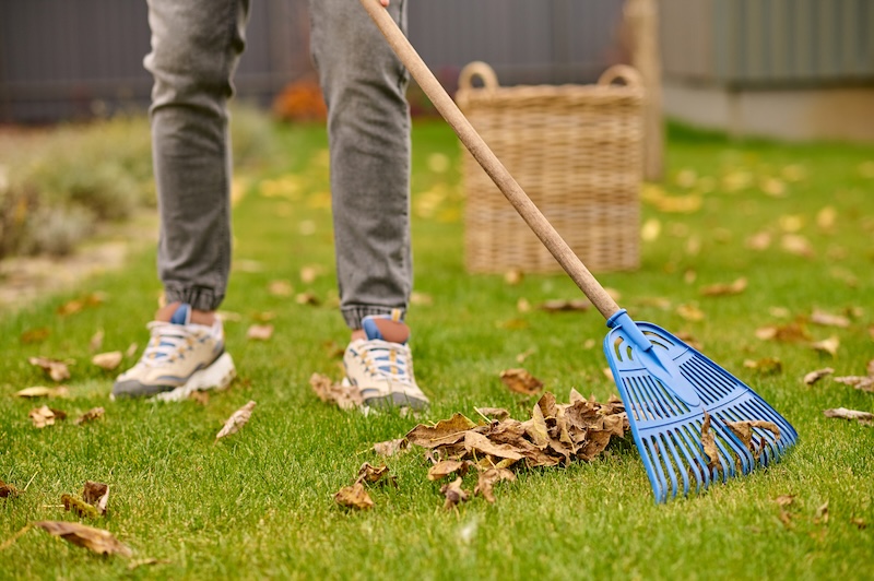 Male Feet Lawn Rake Near Leaves