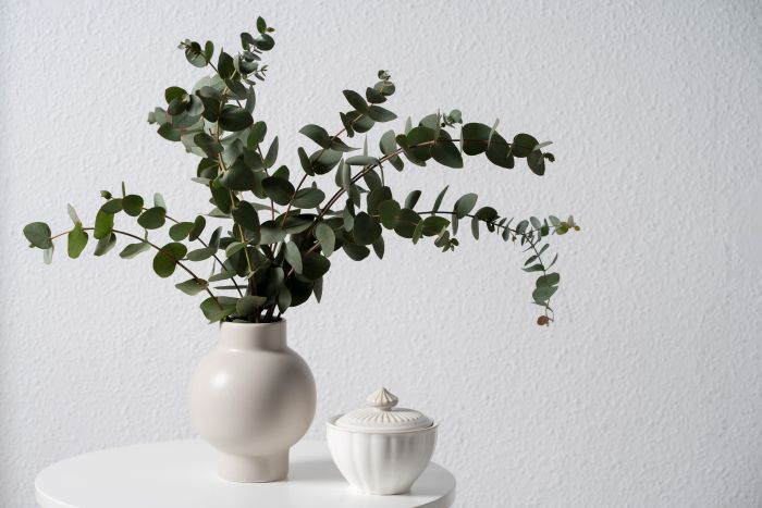 White Vase With Eucalyptus White Table