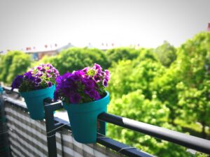 Close Up Plants Against Sky