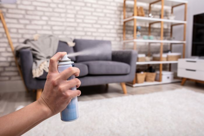 Hand sprüht Spray in Wohnzimmer mit grauem Sofa, Regal; Thema Reinigungskraft.