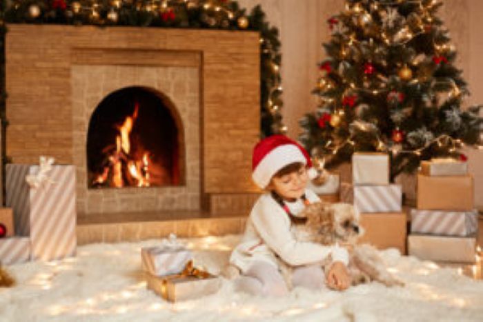 Good Looking Female Child Playing With Her Pekingese Dog Little Girl Wearing White Sweater Santa Claus Hat Posing Festive Room With Fireplace Xmas Tree 300X200 1