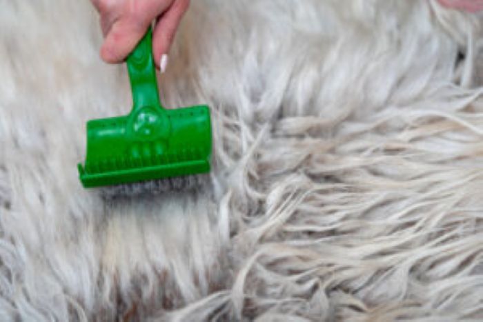 Animal Hair Worsted Wool With Brush Comb Combed Process Combing Hair With Special Comb Brush With Free Text Space 300X200 1