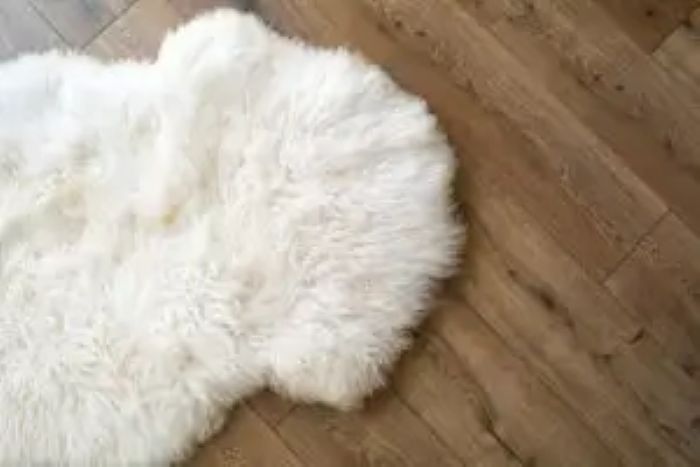Sheep Skin Laminate Floor Room View From 300X200 1 1
