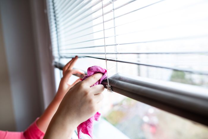 Low Section Woman Using Mobile Phone