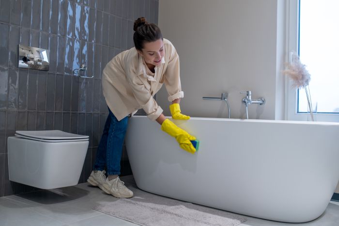 Woman Doing Cleaning Home Disinfecting Bathroom
