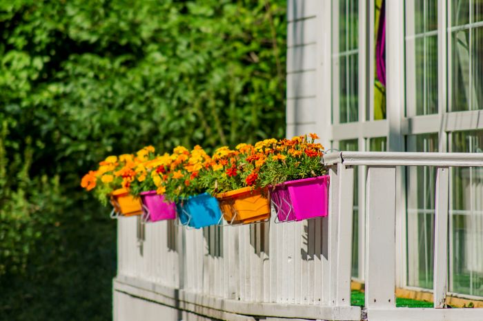 Terrace With Flowers Hanging Pots