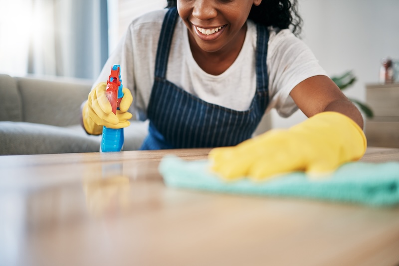 Hand Cleaning Latex Gloves With Black Woman Using Cloth Home Hygiene As Housekeeper Furniture Bacteria Chemical With Female Cleaner Working Housekeeping Apartment