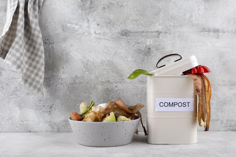Arrangement Compost Made Rotten Food